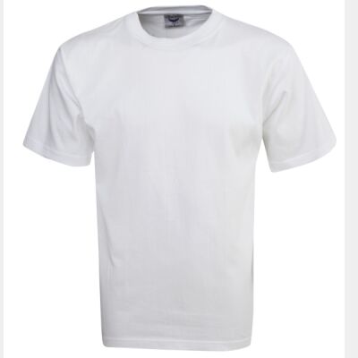 Premium Pre-Shrunk Cotton T-Shirt  Thumbnail